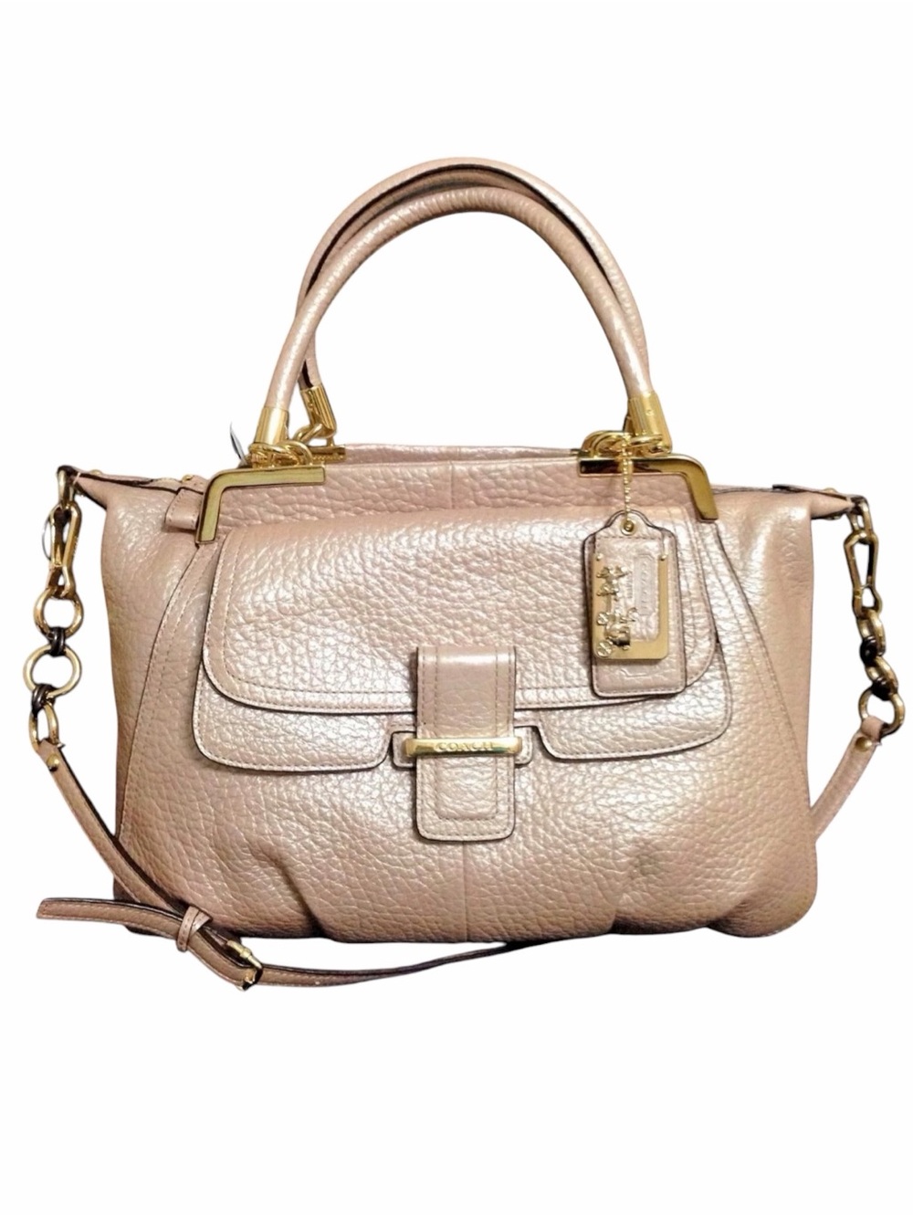 Coach Madison Pinnacle Italian Pebbled Leather Lilly Bag